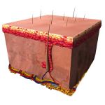 Nach Abspülen mit reichlich Wasser ist der Kopf des Kindes wieder sauber, gepflegt und wohlriechend